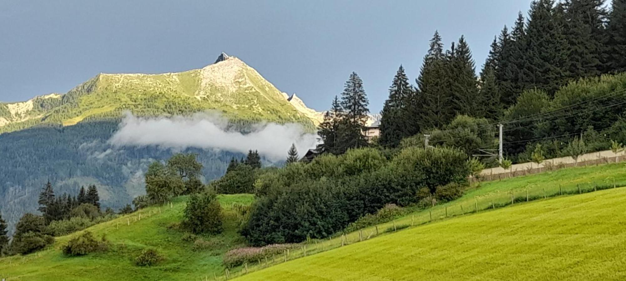 Urlaub Am Krausberghof, Apartment Mit Balkon Und Parkplatz, Inmitten Der Natur, Sauna Und Infrarotkabine, Kostenfreie Kaffeekapseln, 6 Fahrminuten Zur Alpentherme Gastein Und Zur Schlossalmbahn, Spielplatz Bad Hofgastein Exterior foto
